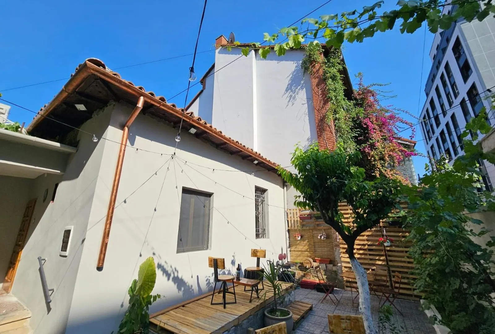 Lemon House Vandrehjem Tirana 0*,